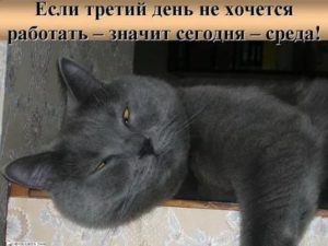 вернуть страсть в постель