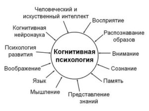 Когнитивная психология