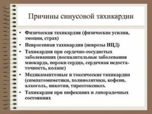 Как увеличить половую активность у мужчин