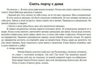 Свобода или одиночество