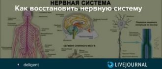 Прием на работу собеседование