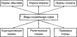 Какие правила существуют в обществе