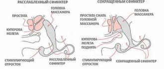 Как люди влюбляются