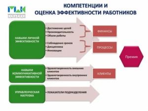 Оценка эффективности развития персонала