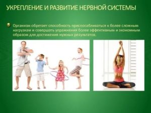 для укрепления нервной системы