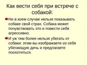 Как вести себя при первой встрече с девушкой