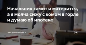 Что делать если начальник хамит