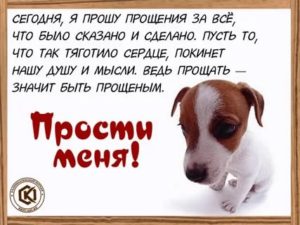 Как попросить прощения у друга