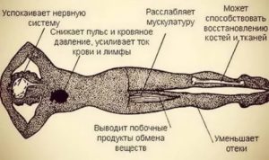 как расслабить нервную систему