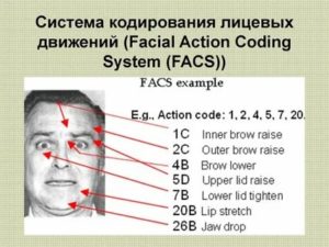 Система кодирования лицевых движений