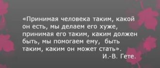 Принимать таким какой есть