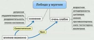 Как повысить желание у мужчины